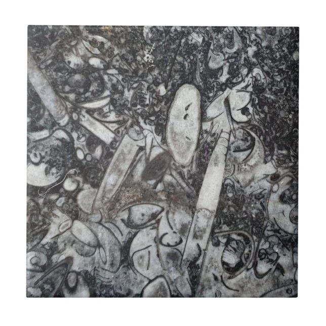 Ortoseras och goniatitfossila bränslen kakelplatta (Framsidan)