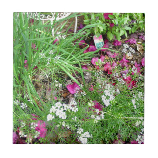 Örtsamlingsgräslökar fotograferar konst kakelplatta