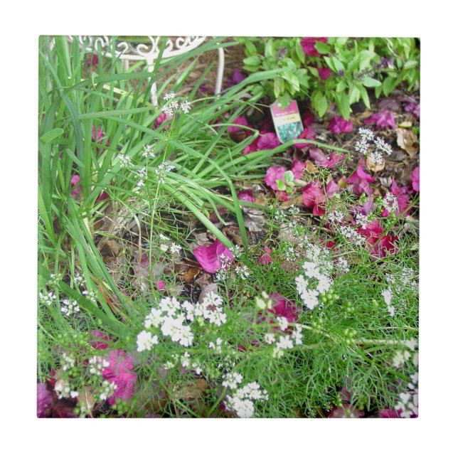 Örtsamlingsgräslökar fotograferar konst kakelplatta (Framsidan)