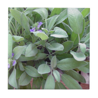 Örtsamlingsvis man fotograferar konst kakelplatta