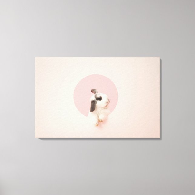 Oryctolagus cuniculus canvastryck (Framsida)