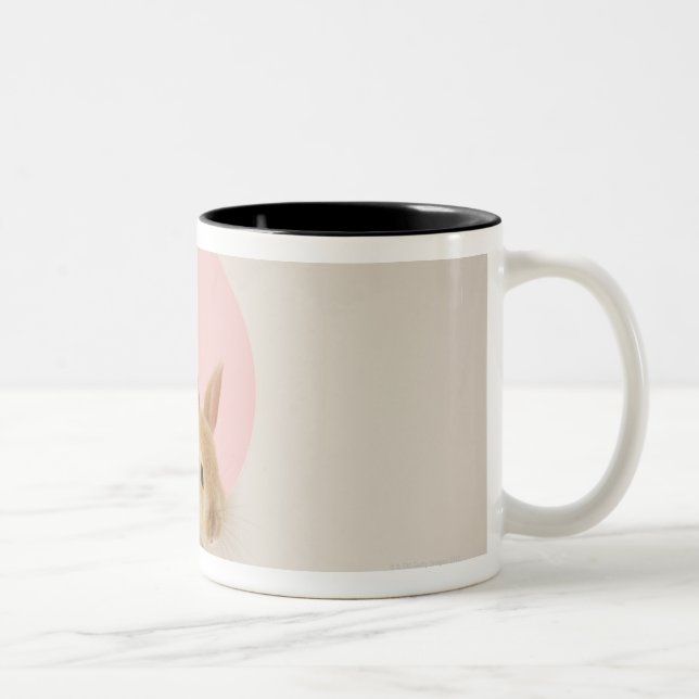 Oryctolaguscuniculus 3 Två-Tonad mugg (Höger)