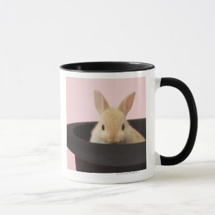 Oryctolaguscuniculus Mugg