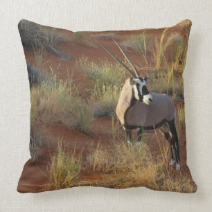 Oryx Antelope Sand Dune Savannah Kudde