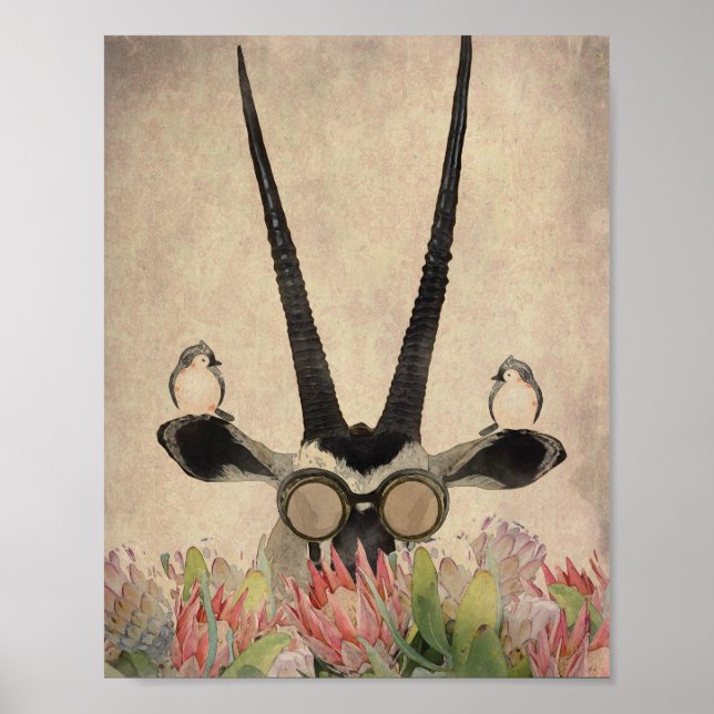 Oryx bakom Proteblommor Poster (Framsidan)