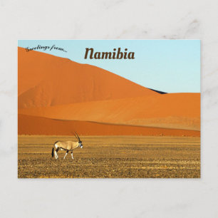 Oryx Gazella Namib Naumft nationalpark Namibia Vykort