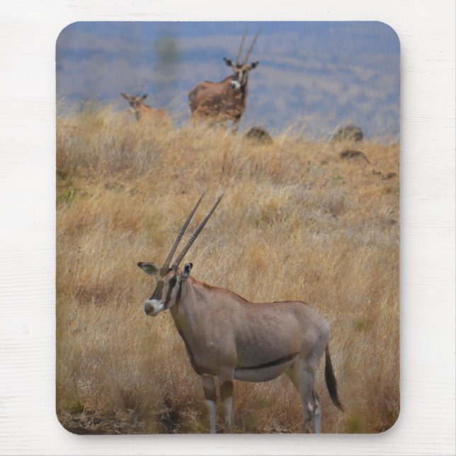 Oryx i Afrika Mousepad Musmatta (Framsidan)