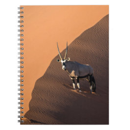 Oryx på kant, Namibia Anteckningsbok