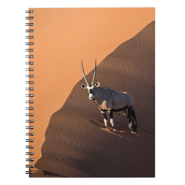 Oryx på kant, Namibia Anteckningsbok (Framsidan)