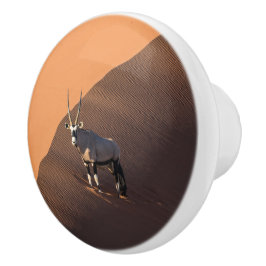 Oryx på kant, Namibia Knopp