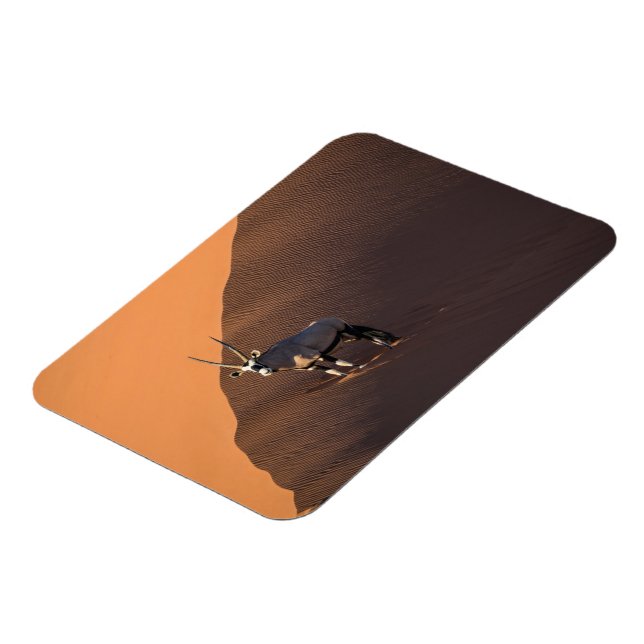 Oryx på kant, Namibia Magnet (Vänstra Sidan)