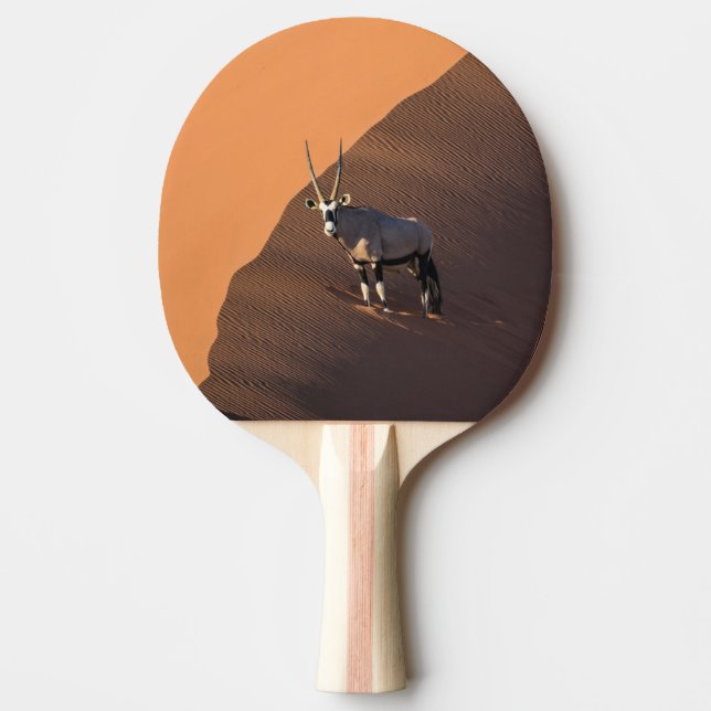 Oryx på kant, Namibia Pingisracket (Framsidan)