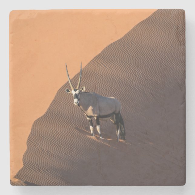 Oryx på kant, Namibia Stenunderlägg (Framsidan)
