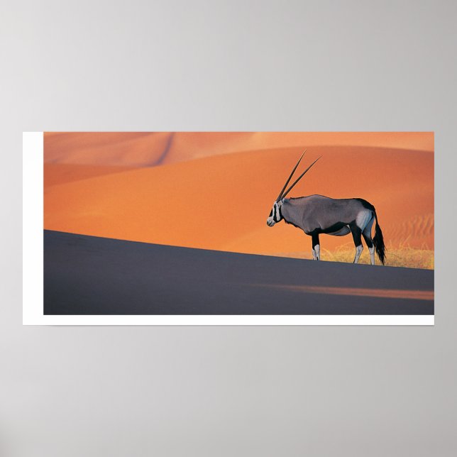 Oryx Poster (Framsidan)