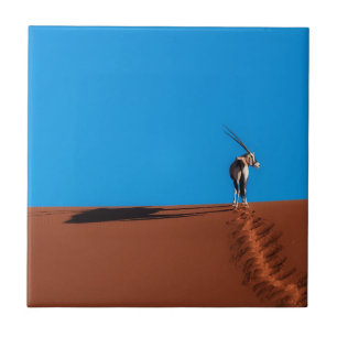 Oryxantilopantilop på den Namib öknen Kakelplatta