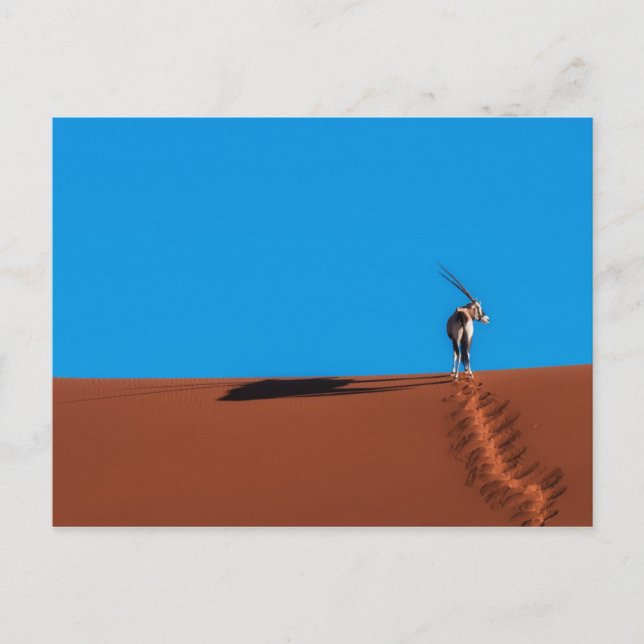 Oryxantilopantilop på den Namib öknen Vykort (Framsida)