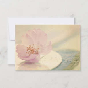 OSA Delikat Mjuk Rosa Cherry Blommar Flower Kort