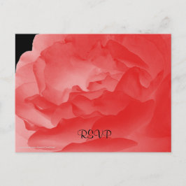 OSA, Elegant Coral Rosa ros Blommigt Inbjudan Vykort