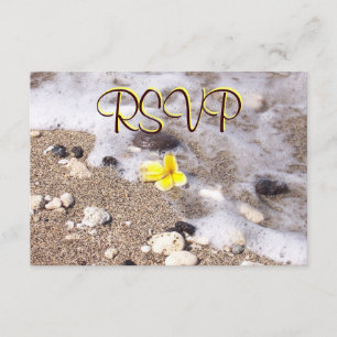 OSA Guest Reply-kuvert Seashells, Plumeria Kort