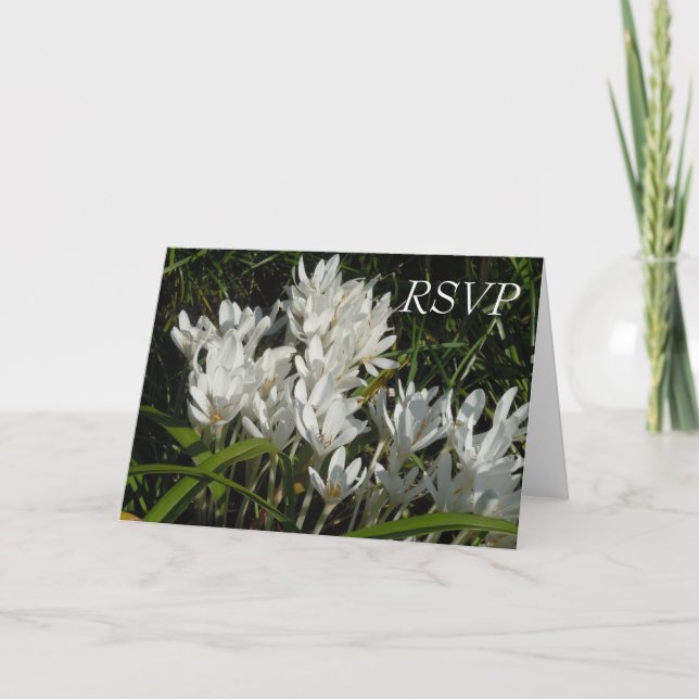 OSA INBJUDAN (Framsida)