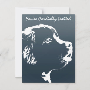 OSA kort Anpassa Hund till nyetablering