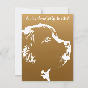 OSA kort Anpassa Hund till nyetablering