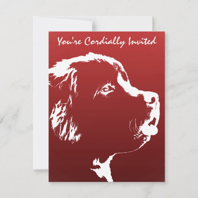 OSA kort Anpassa Hund till nyetablering (Framsida)