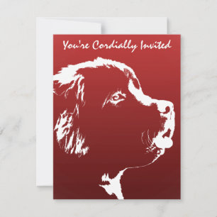 OSA kort Anpassa Hund till nyetablering