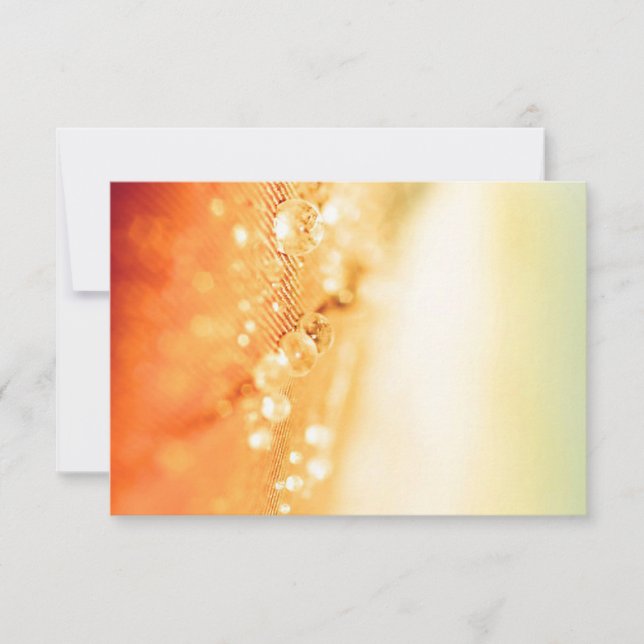 OSA kort för inbjudningar och mallar (Framsida)