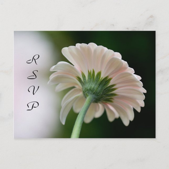 OSA vykort (Framsida)