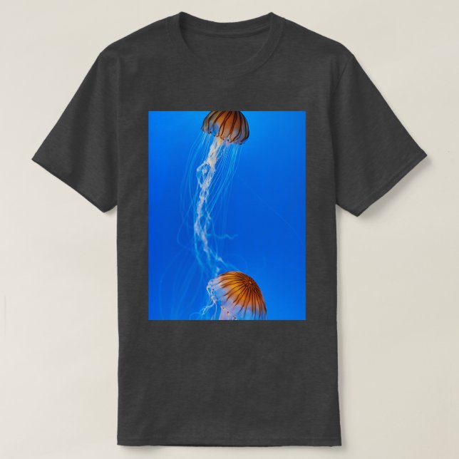 Osaka Aquarium Kaiyukan T Shirt (Design framsida)