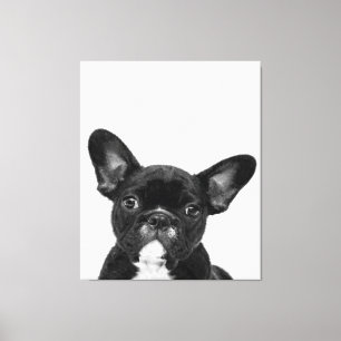 Osäker Hund Black Fransk Bulldog Ansikte Canvastryck
