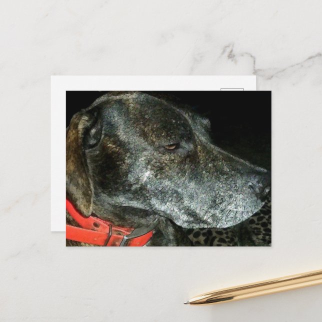 Osäker Hund Vykort (Fram/Back In Situ)