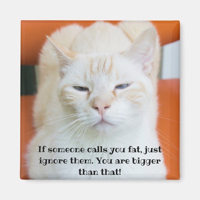 Oscar den Insulting Funny Cat Magnet (Framsidan)