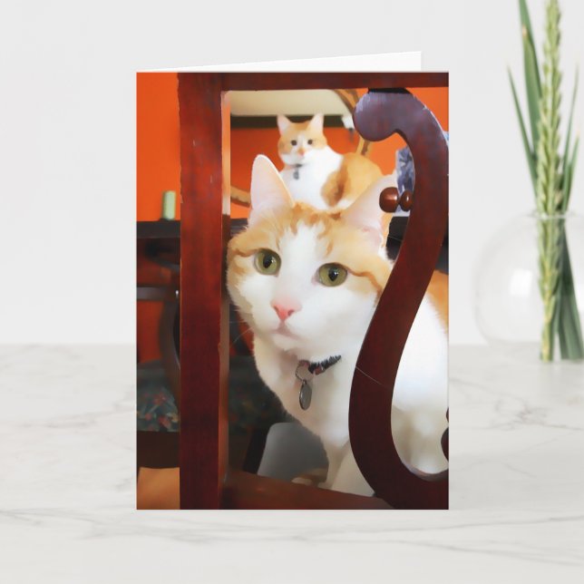 OSCAR & ERNIE heARTcat Kort (Framsida)