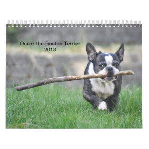 Oscar kalendern för Boston Terrier 2013 Kalender