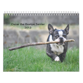 Oscar kalendern för Boston Terrier 2013 Kalender