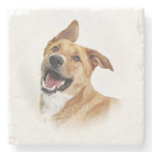 Oscar labbet önskar att vara, kustfartyget