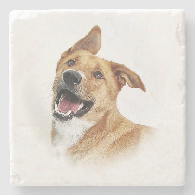 Oscar labbet önskar att vara, kustfartyget stenunderlägg (Framsidan)