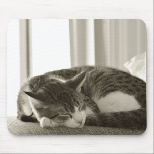 oscar mousepad musmatta
