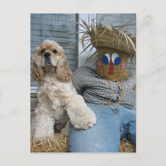 Oscar och Phil Vykort (Framsida)