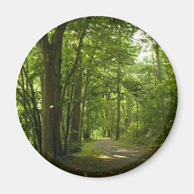 Osceloa Island Weir Dam Bristol Tennessee Magnet (Framsidan)