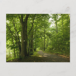 Osceloa Island Weir Dam Bristol Tennessee Vykort