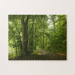 Osceola Island, Weir - Dam Bristol TN puzzle Pussel