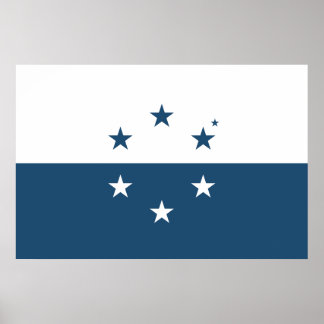 Osea Flagga Poster