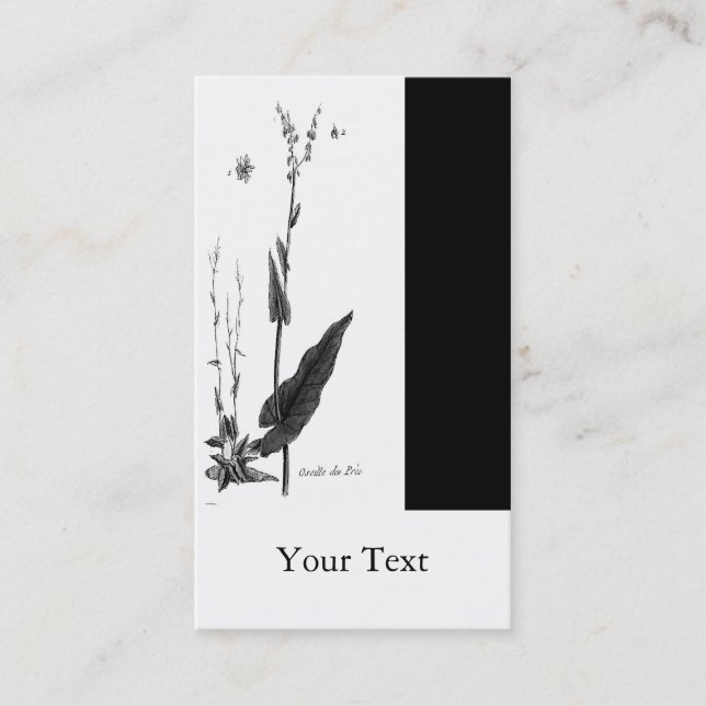 Oseille des Prés Visitkort (Framsida)