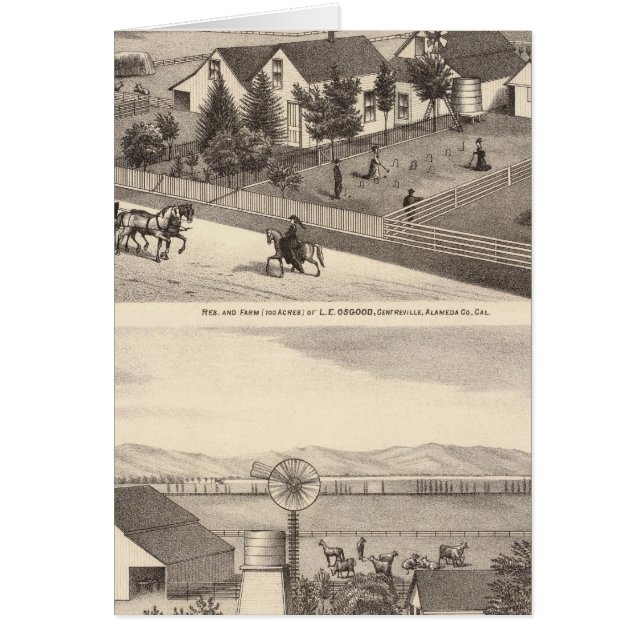 Osgood, Cameron-bosättningar, gårdar Hälsningskort (Framsidan)