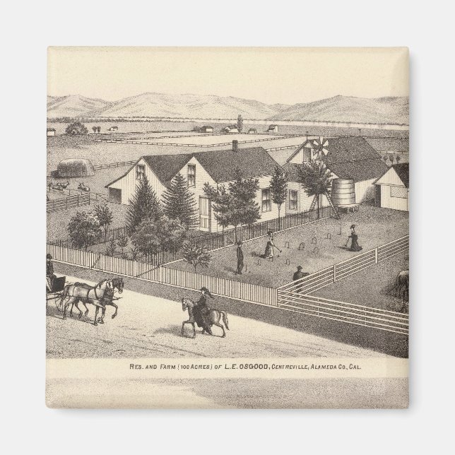 Osgood, Cameron-bosättningar, gårdar Magnet (Framsidan)