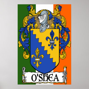 O'Shea Jackar av Arm Irish Flagga Print Poster