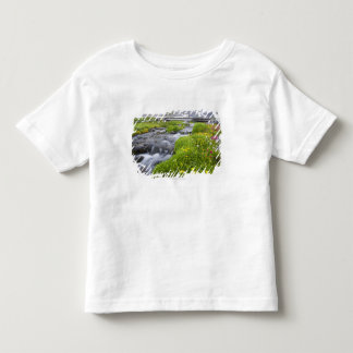 Oskarp flod med gula vitrosavildblommar t shirt